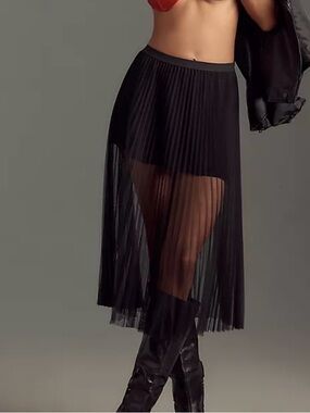 NWT Anthropologie Sheer Pleated Skirt